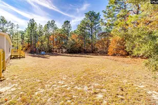 130 Alpine Rd, Swansea, SC 29160 - Photo 2
