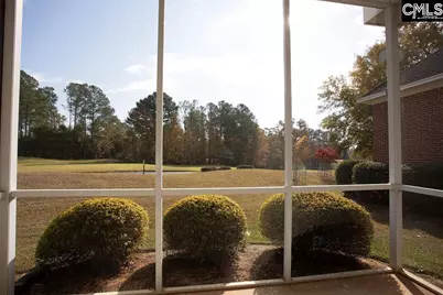 105 Linkside Court, Chapin, SC 29036 - Photo 4