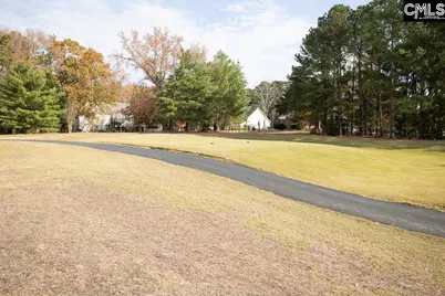 105 Linkside Court, Chapin, SC 29036 - Photo 40