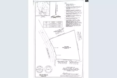 409 Dutchman Shores Circle, Chapin, SC 29036 - Photo 10