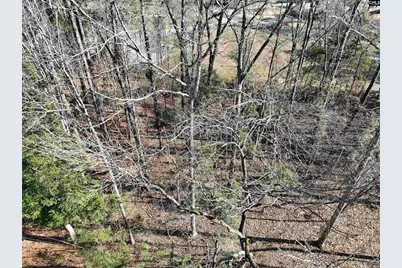 409 Dutchman Shores Circle, Chapin, SC 29036 - Photo 6