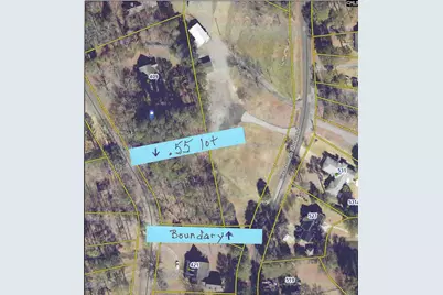 409 Dutchman Shores Circle, Chapin, SC 29036 - Photo 12