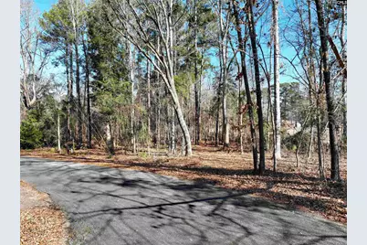 409 Dutchman Shores Circle, Chapin, SC 29036 - Photo 4