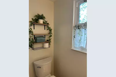 406 Brickling Road, Irmo, SC 29063 - Photo 16