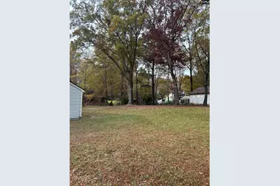 406 Brickling Road, Irmo, SC 29063 - Photo 44