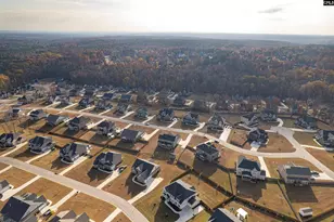 231 Red Ash Wy, Blythewood, SC 29016 - Photo 48