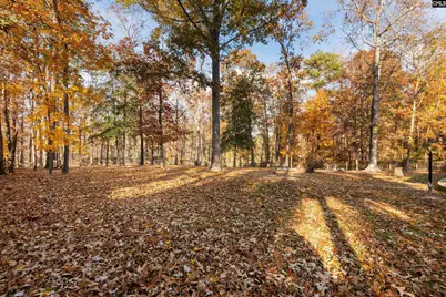 113 Locklier Road, Blythewood, SC 29016 - Photo 32