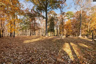 113 Locklier Rd, Blythewood, SC 29016 - Photo 32