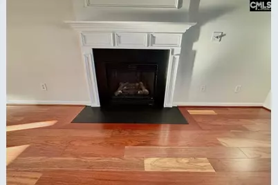 105 Loskin Lane, Lexington, SC 29073 - Photo 4