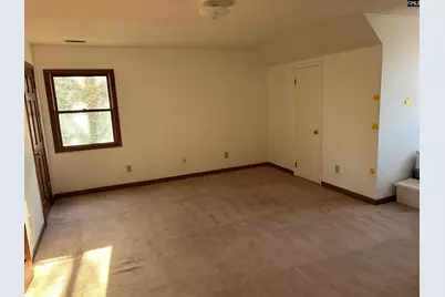 1511 Pet Sites Road, Chapin, SC 29036 - Photo 12