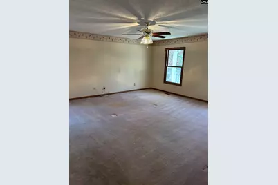 1511 Pet Sites Road, Chapin, SC 29036 - Photo 10