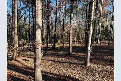 1511 Pet Sites Road, Chapin, SC 29036 - Photo 22