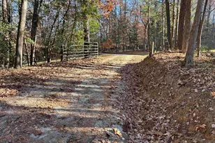 1511 Pet Sites Rd, Chapin, SC 29036 - Photo 4