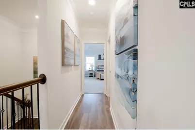 2130 Ludlow Place, Chapin, SC 29036 - Photo 38