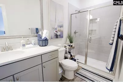 2130 Ludlow Place, Chapin, SC 29036 - Photo 50