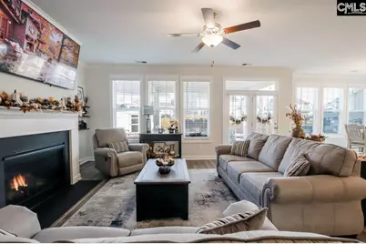 2130 Ludlow Place, Chapin, SC 29036 - Photo 28