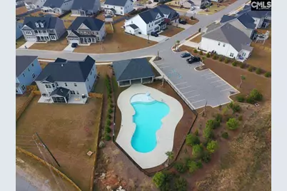 2130 Ludlow Place, Chapin, SC 29036 - Photo 68