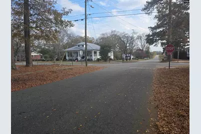115 Charleston Avenue, Batesburg, SC 29006 - Photo 32