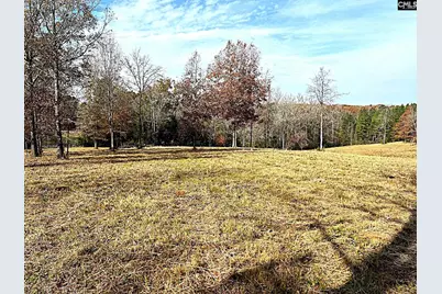 1230 Sc Highway 202, Little Mountain, SC 29075 - Photo 44