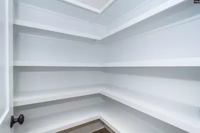 530 Misty Banks Drive, Chapin, SC 29036 - Photo 30