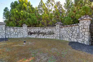 225 Living Waters Blvd, Lexington, SC 29073 - Photo 60