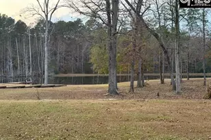 50 Steve Free Rd, Chapin, SC 29036 - Photo 46