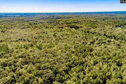 50 Steve Free Road, Chapin, SC 29036 - Photo 76