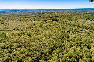 50 Steve Free Rd, Chapin, SC 29036 - Photo 76