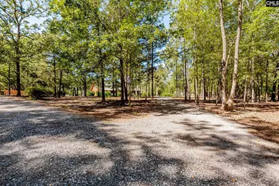 50 Steve Free Road, Chapin, SC 29036 - Photo 68