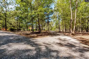 50 Steve Free Rd, Chapin, SC 29036 - Photo 68