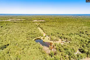 50 Steve Free Rd, Chapin, SC 29036 - Photo 72