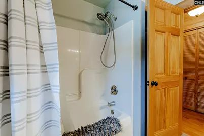 50 Steve Free Road, Chapin, SC 29036 - Photo 34