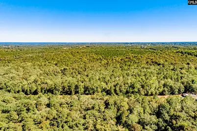 50 Steve Free Road, Chapin, SC 29036 - Photo 78