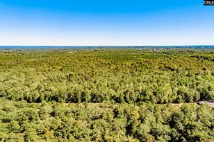 50 Steve Free Rd, Chapin, SC 29036 - Photo 78