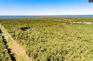 50 Steve Free Rd, Chapin, SC 29036 - Photo 74