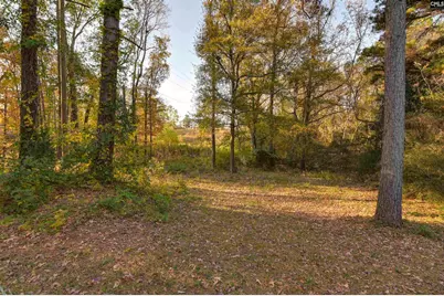 100 Woodspur Road, Irmo, SC 29063 - Photo 34