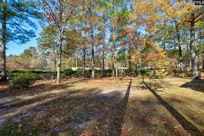 5 Tawny Branch Court, Columbia, SC 29212 - Photo 38