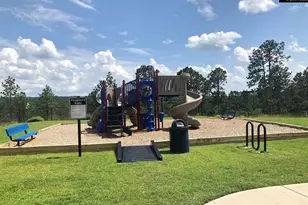 1449 Tanreall Dr, Lexington, SC 29073 - Photo 56