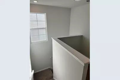 1449 Tanreall Drive, Lexington, SC 29073 - Photo 20