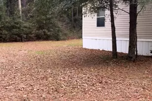 416 Otis Rd, Pelion, SC 29123 - Photo 2