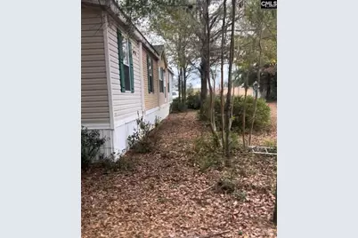 416 Otis Road, Pelion, SC 29123 - Photo 6