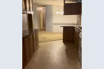 416 Otis Road, Pelion, SC 29123 - Photo 14