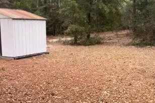 416 Otis Rd, Pelion, SC 29123 - Photo 4