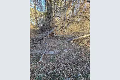 109 Anderson Portee, Hopkins, SC 29061 - Photo 12