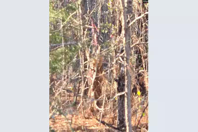 109 Anderson Portee, Hopkins, SC 29061 - Photo 10