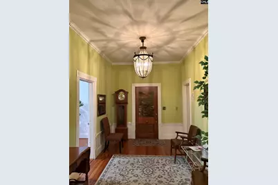 225 Columbia Avenue, Chapin, SC 29036 - Photo 2