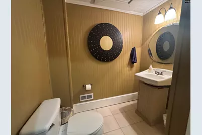 225 Columbia Avenue, Chapin, SC 29036 - Photo 8