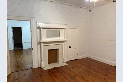 225 Columbia Avenue, Chapin, SC 29036 - Photo 4