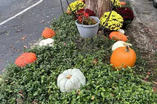 1441 Old Chapin Road 212, Lexington, SC 29072 - Photo 6