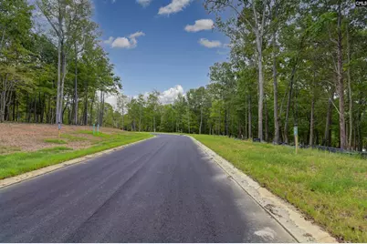 1061 Refuge Pl #46, Chapin, SC 29036 - Photo 2